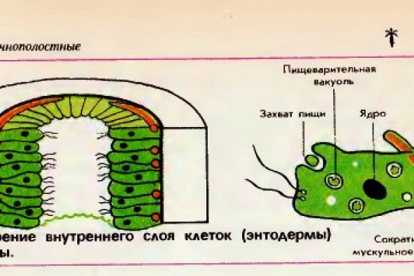 Кракен наркологический