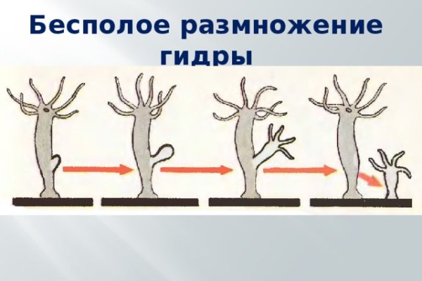 Ссылки кракен телеграф