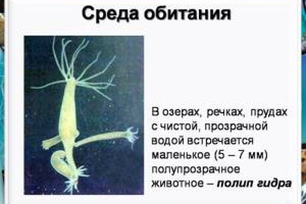 Кракен дарк сайт