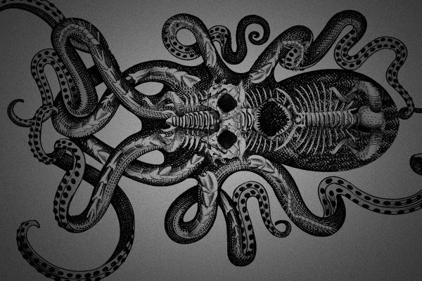 Kraken darknet market зеркало
