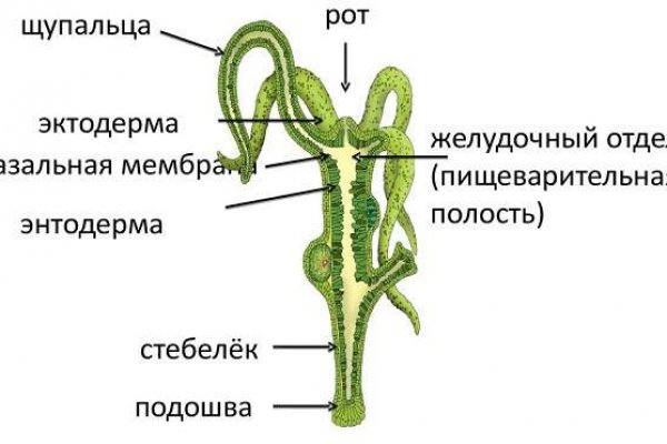 Можно вывести деньги с кракена
