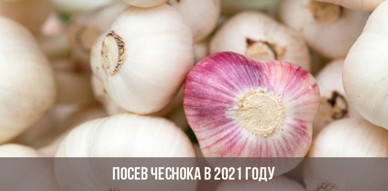 Кракен зеркала официальные