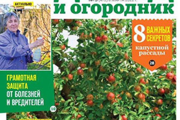 Кракен даркнет лол