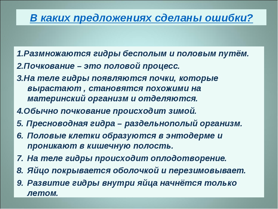 Почему не могу зайти на кракен